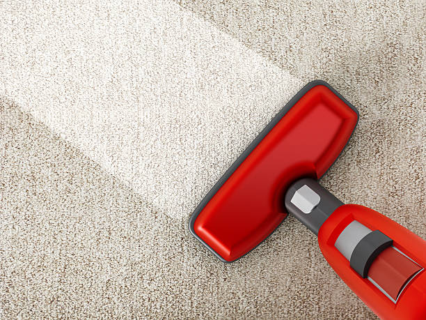 Professional Carpet Cleaning Services